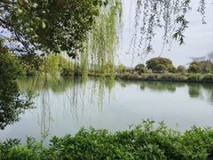 -尚湖风景区
