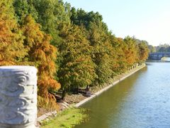 -上海海湾国家森林公园