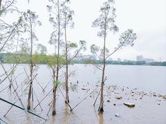 -海珠湖公园