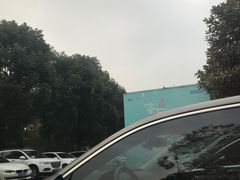 场地-红星美凯龙全球家居生活广场停车场(汶水店)