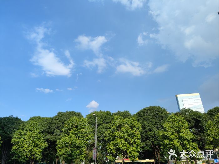 VT101维多利广场图片