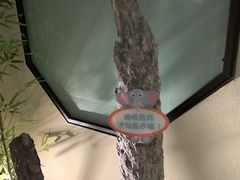 -小厨娘淮扬菜(六合欢乐港店)