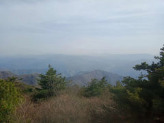 -王顺山国家森林公园