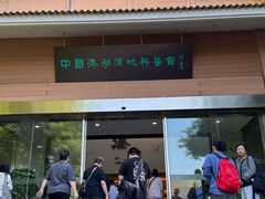 -溱湖国家湿地公园