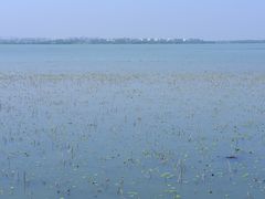 -阳澄湖半岛旅游度假区