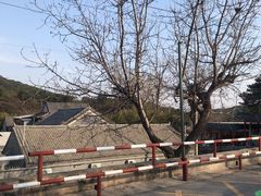 -红螺寺