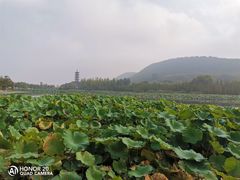 -云龙湖旅游景区