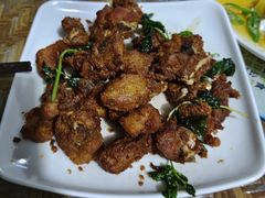 -晓雯人家