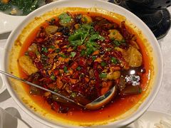 毛血旺-海湾壹品·粤菜·早茶·烤鸭(拱北店)