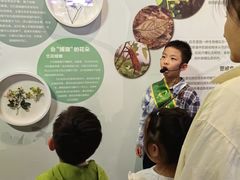 -陕西自然博物馆