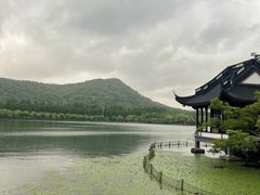 -西湖外事游船(花港观鱼码头)