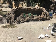 -燕塞湖鸟语林景区