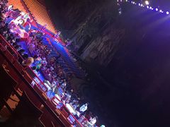 -广州长隆国际大马戏