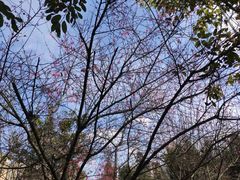 -成都南湖公园