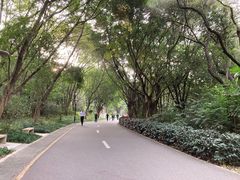 -深圳国际园林花卉博览园