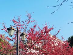 -乌山风景区
