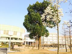 -中国计量大学(西校区)