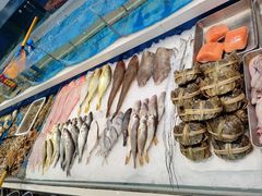 -北塘海鲜·天津菜·鲅鱼水饺是一绝(大光明桥旗舰店)