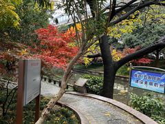 -川锅哎哟·麻辣香锅(国大城市广场店)