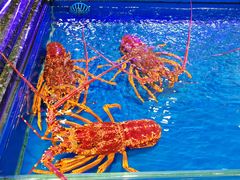 -万宝海鲜舫(劳动公园店)