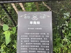 -正佳雨林生态植物园