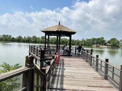 -艾溪湖湿地公园