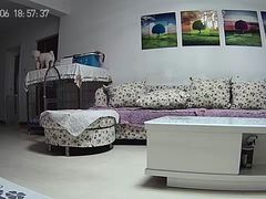 -波姐宠物家庭寄养