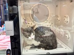 -FAELING PETS美天灵宠物(富力广场店)