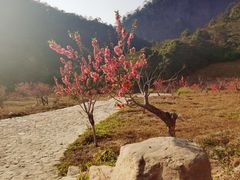-广州市石门国家森林公园