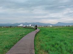 -敕勒川草原