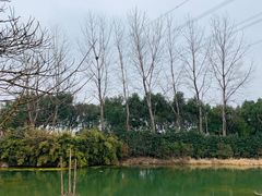 -昆山城市生态森林公园