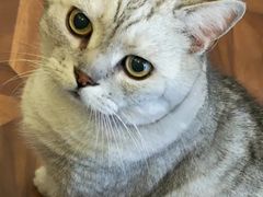 -隅cafe(傅厚岗店)