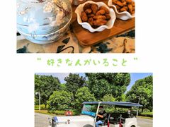 -望海·帆船主题咖啡厅•品茗下午茶(石湖景区店)
