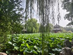 -莲池书院博物馆