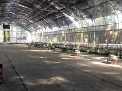 -前小桔亲子创意农场·草莓采摘·露营烧烤