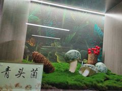 -七采菌园·野生菌石锅鱼(环城北路店)