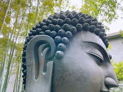 -杭州植物园