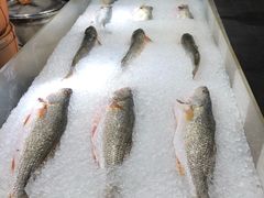 -喷泉广场餐厅·宵夜·海鲜烧烤大排档(长隆企鹅酒店)