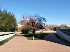 -北京国家会计学院