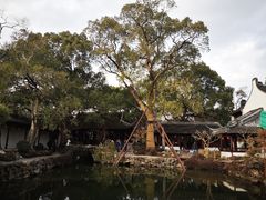 -上海醉白池公园