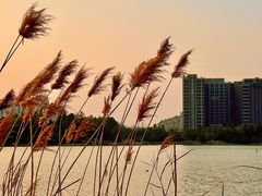 -美兰湖景区