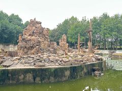 -合肥野生动物园