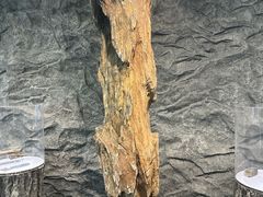 -大同煤炭博物馆