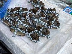 -鸿港海鲜批发市场