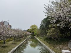 -上海交通大学(闵行校区)