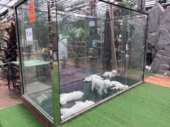 -呀路古热带植物园