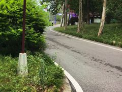 -洋湖国家湿地公园