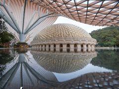 -杭州植物园