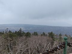 -凤凰山国家森林公园