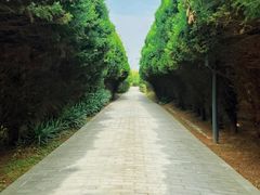-秦始皇帝陵博物院(兵马俑)